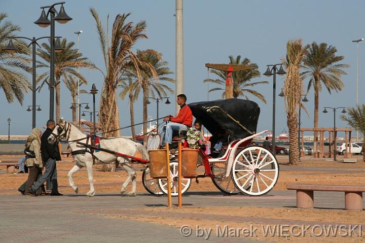 tripoli 136